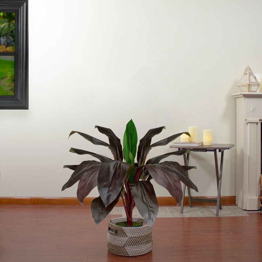 * Artificial Plants | Artificial Plants Northlight Seasonal 23 Artificial Dracaena Potted Plant