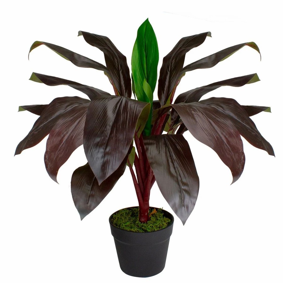 * Artificial Plants | Artificial Plants Northlight Seasonal 23 Artificial Dracaena Potted Plant