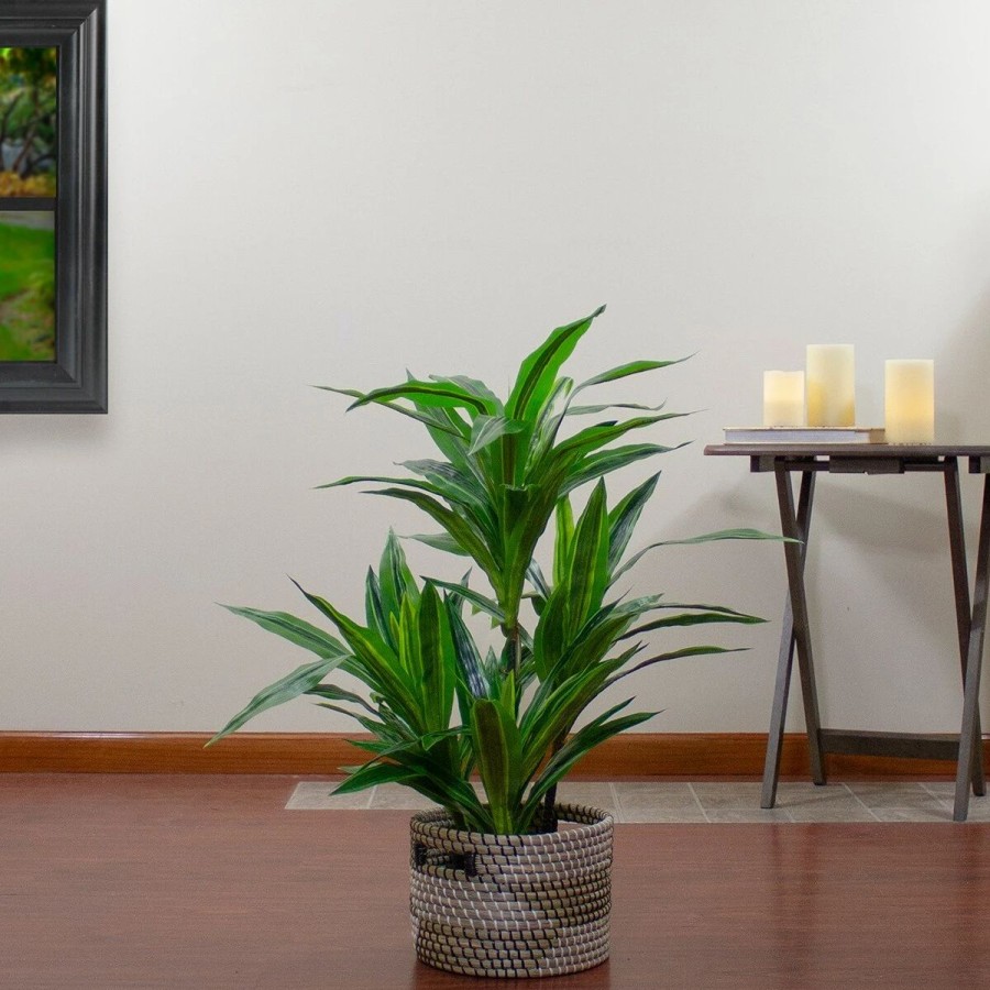 * Artificial Plants | Artificial Plants Northlight Seasonal 37 Artificial Dracaena Potted Plant