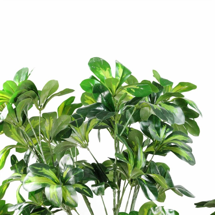 * Artificial Plants | Artificial Plants Northlight Seasonal 51In. Potted Artificial Green Scheffera Plant