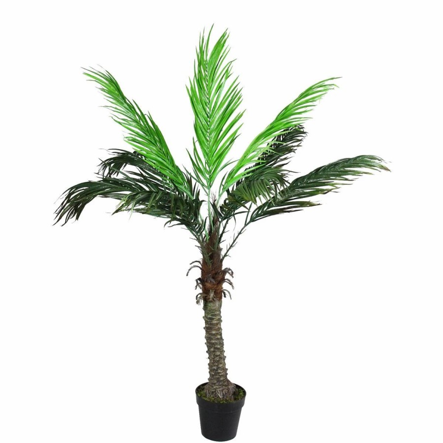 * Artificial Plants | Artificial Plants Northlight Seasonal 58.5In. Artificial Phoenix Palm Tree