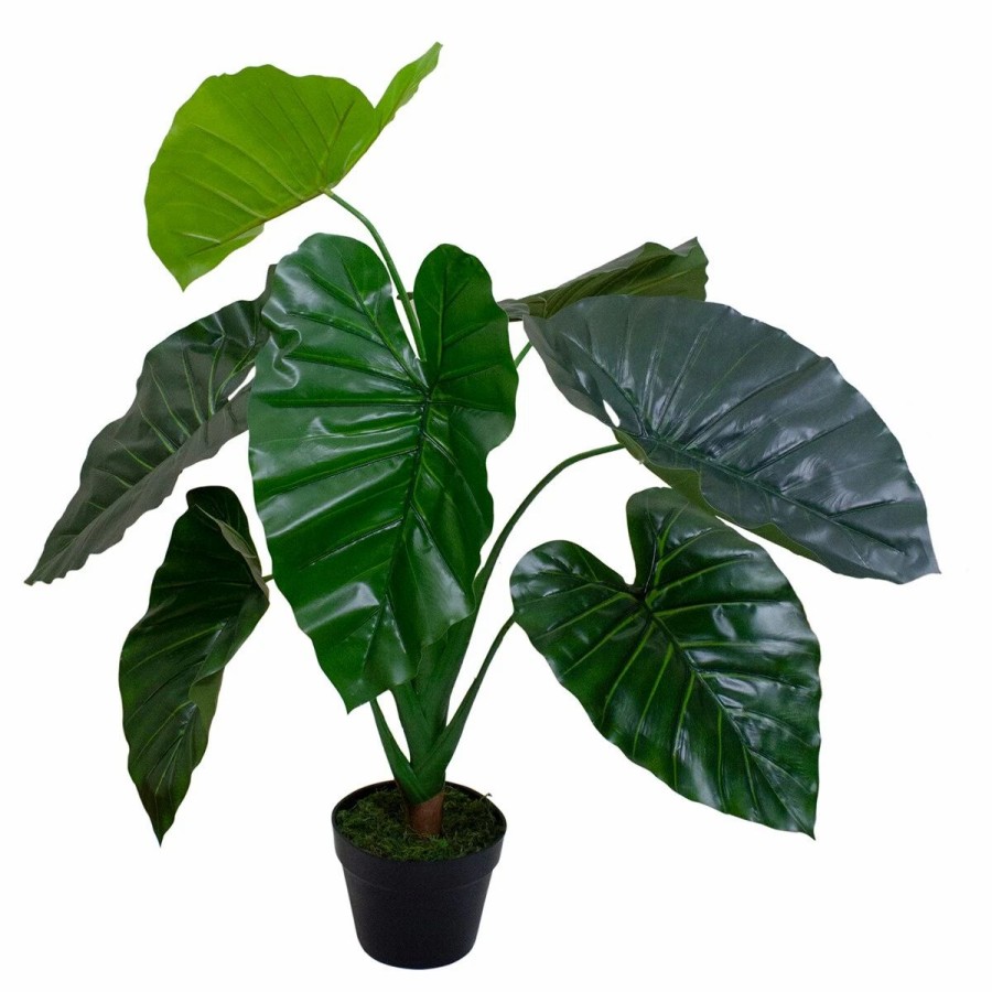 * Artificial Plants | Artificial Plants Northlight Seasonal 40 Artificial Taro Potted Plant