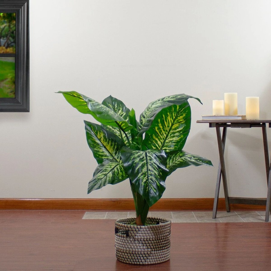 * Artificial Plants | Artificial Plants Northlight Seasonal 36 Artificial Dieffenbachia Potted Plant