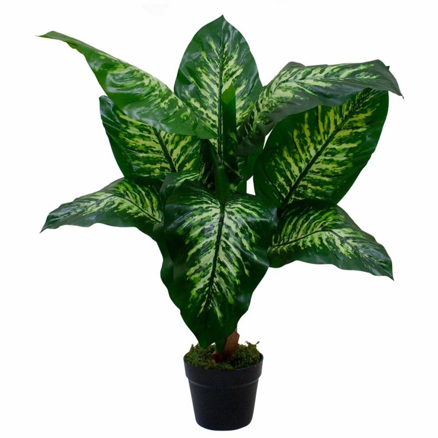 * Artificial Plants | Artificial Plants Northlight Seasonal 36 Artificial Dieffenbachia Potted Plant