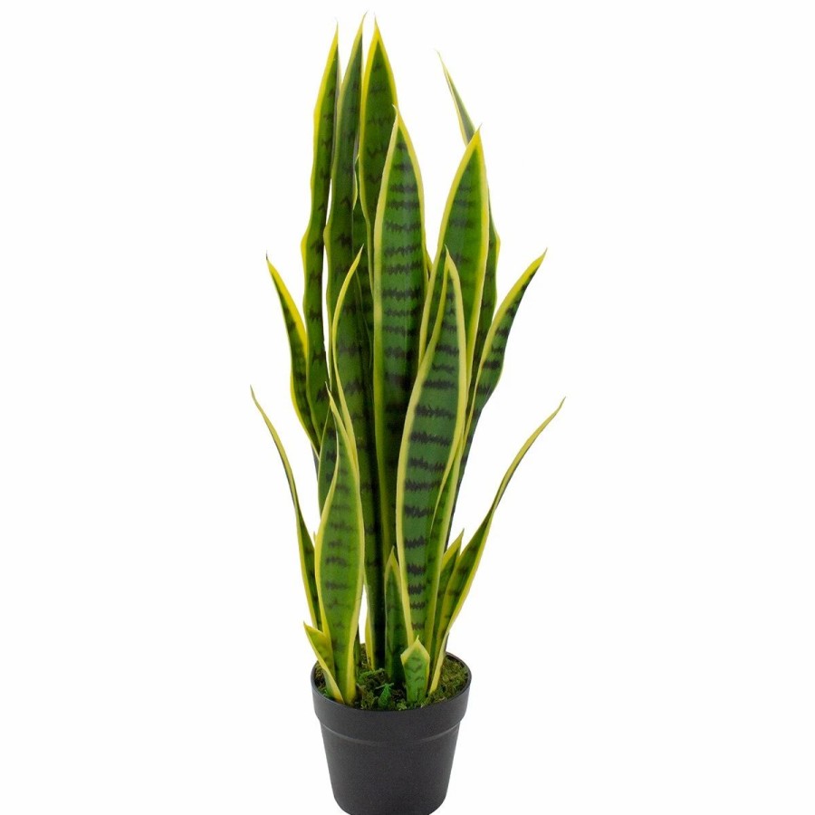 * Artificial Plants | Artificial Plants Northlight Seasonal 29In. Artificial Striped Dracaena Snake Plant