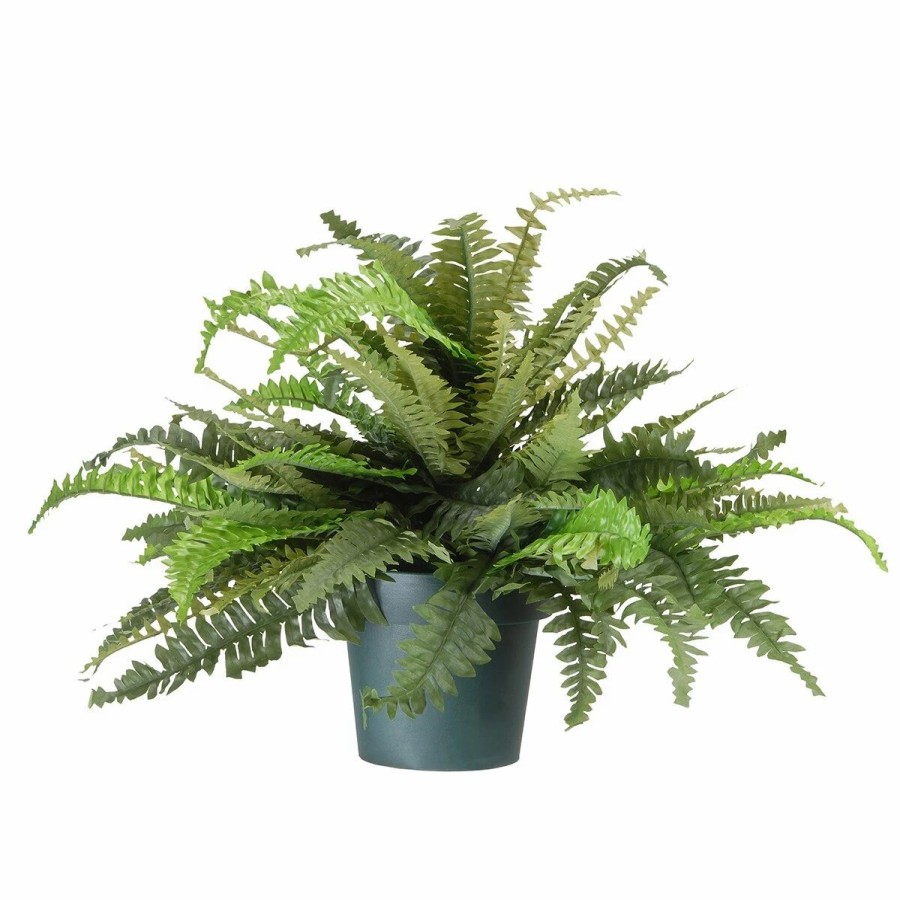 * Artificial Plants | Artificial Plants National Tree 20In. Fern Plant