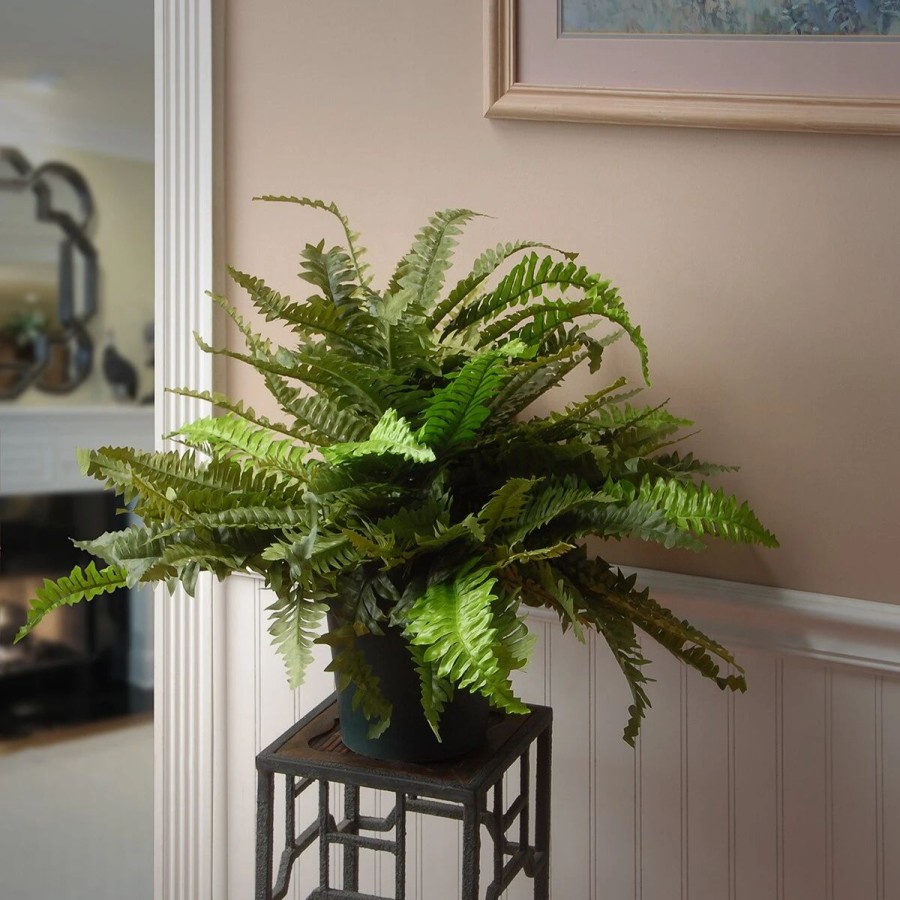 * Artificial Plants | Artificial Plants National Tree 20In. Fern Plant