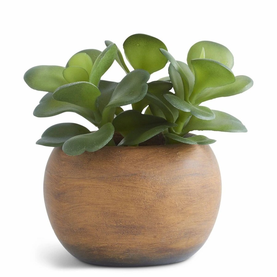 * Artificial Plants | Artificial Plants K&K Interiors 5.5In. Jade Succulent In Tan Pot