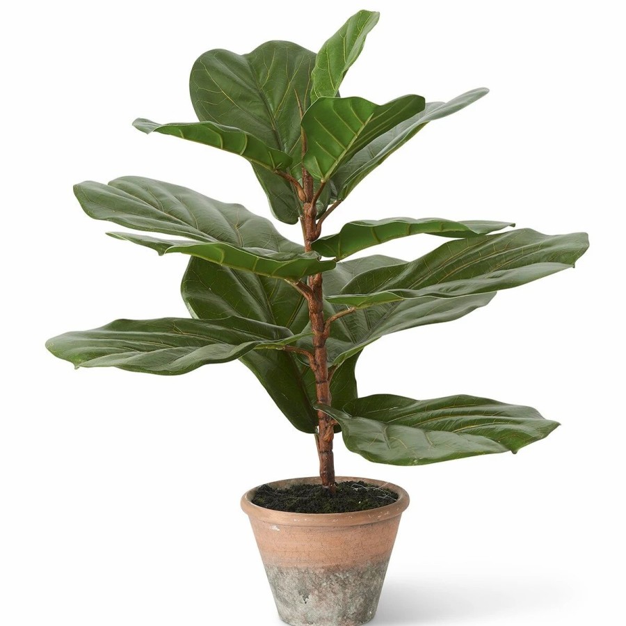 * Artificial Plants | Artificial Plants K&K Interiors Fiddle Leaf Fig Tree Distressed Clay Pot