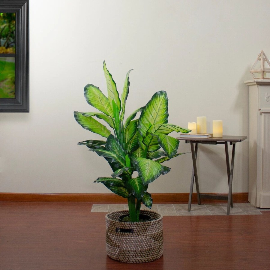 * Artificial Plants | Artificial Plants Northlight Seasonal 50In. Artificial Dieffenbachia Potted Plant