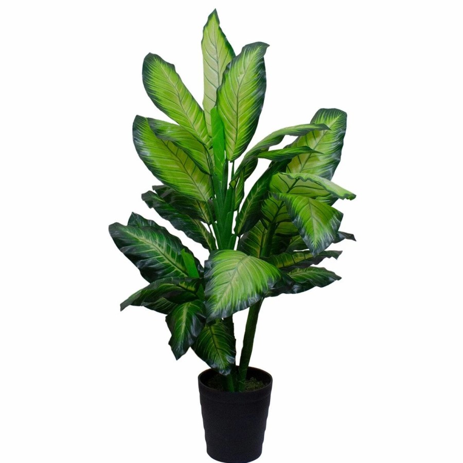 * Artificial Plants | Artificial Plants Northlight Seasonal 50In. Artificial Dieffenbachia Potted Plant