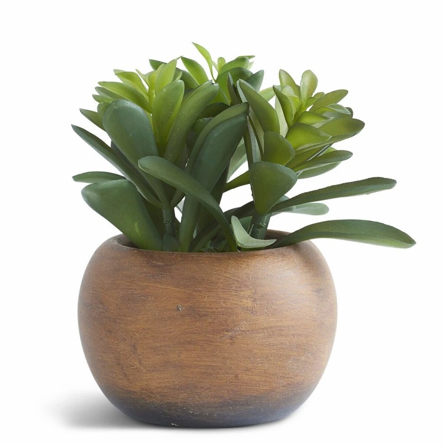 * Artificial Plants | Artificial Plants K&K Interiors 5.5In. Camilla Succulent In Pot