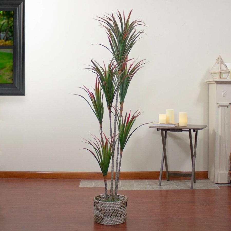 * Artificial Plants | Artificial Plants Northlight Seasonal 67In. Artificial Dracaena Marginata Plant