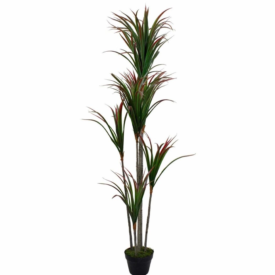 * Artificial Plants | Artificial Plants Northlight Seasonal 67In. Artificial Dracaena Marginata Plant