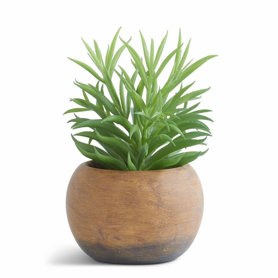 * Artificial Plants | Artificial Plants K&K Interiors 7.5In. Radiator Succulent In Pot