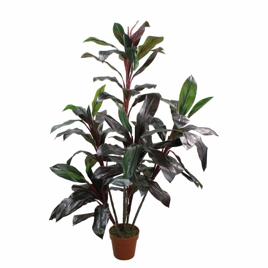 * Artificial Plants | Artificial Plants Northlight Seasonal 60In. Artificial Dracaena Plant