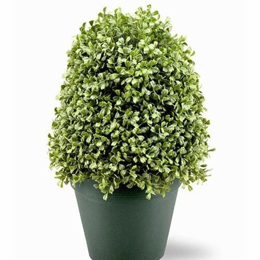 * Artificial Plants | Artificial Plants National Tree 15In Boxwood Tree W/Green Pot